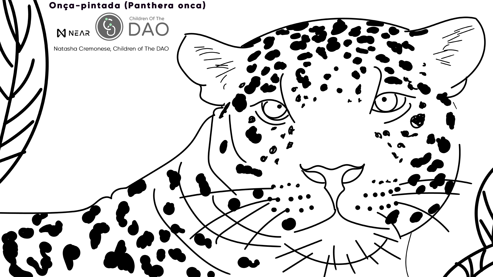 01 Onça-pintada (Panthera onca )