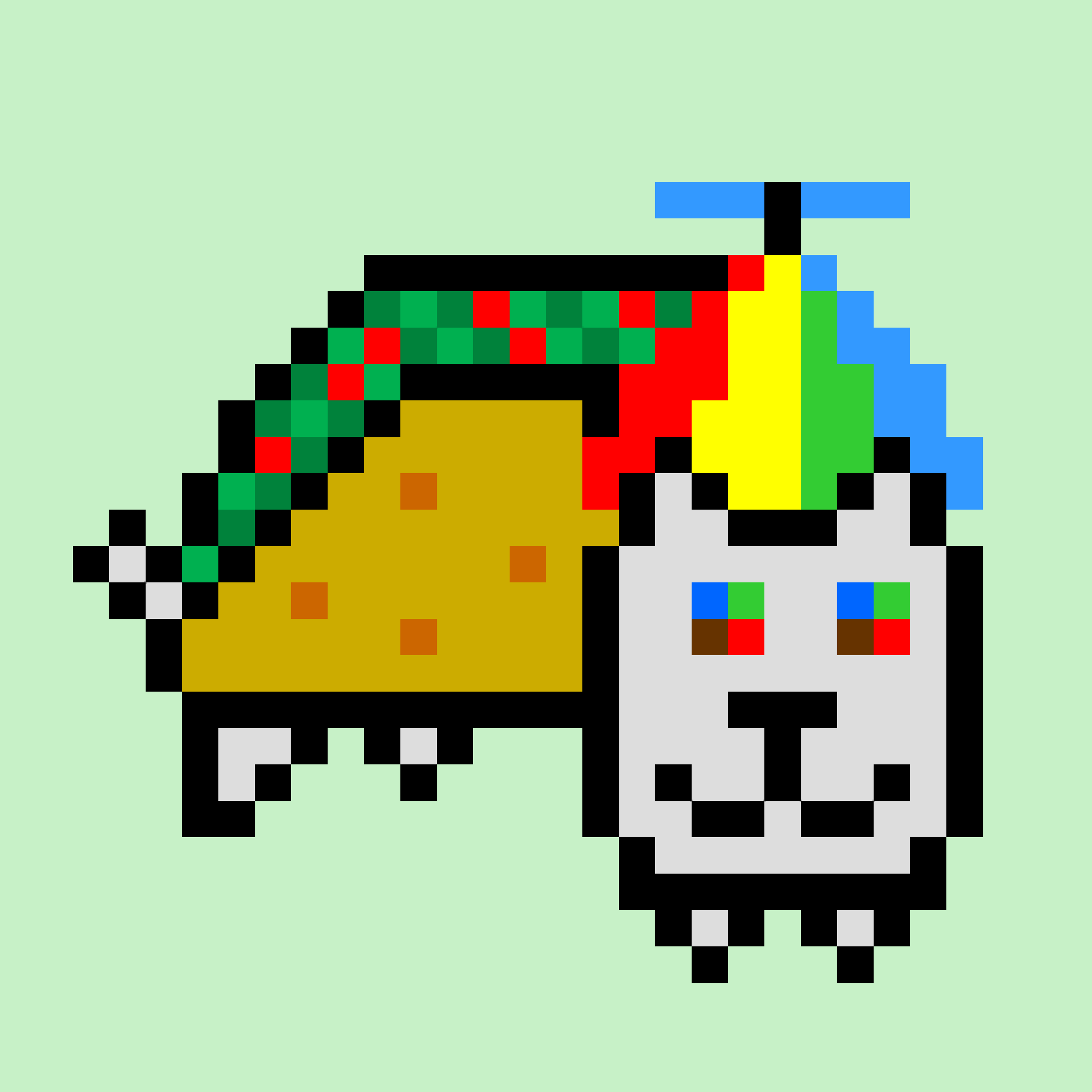 Taco Cat #885