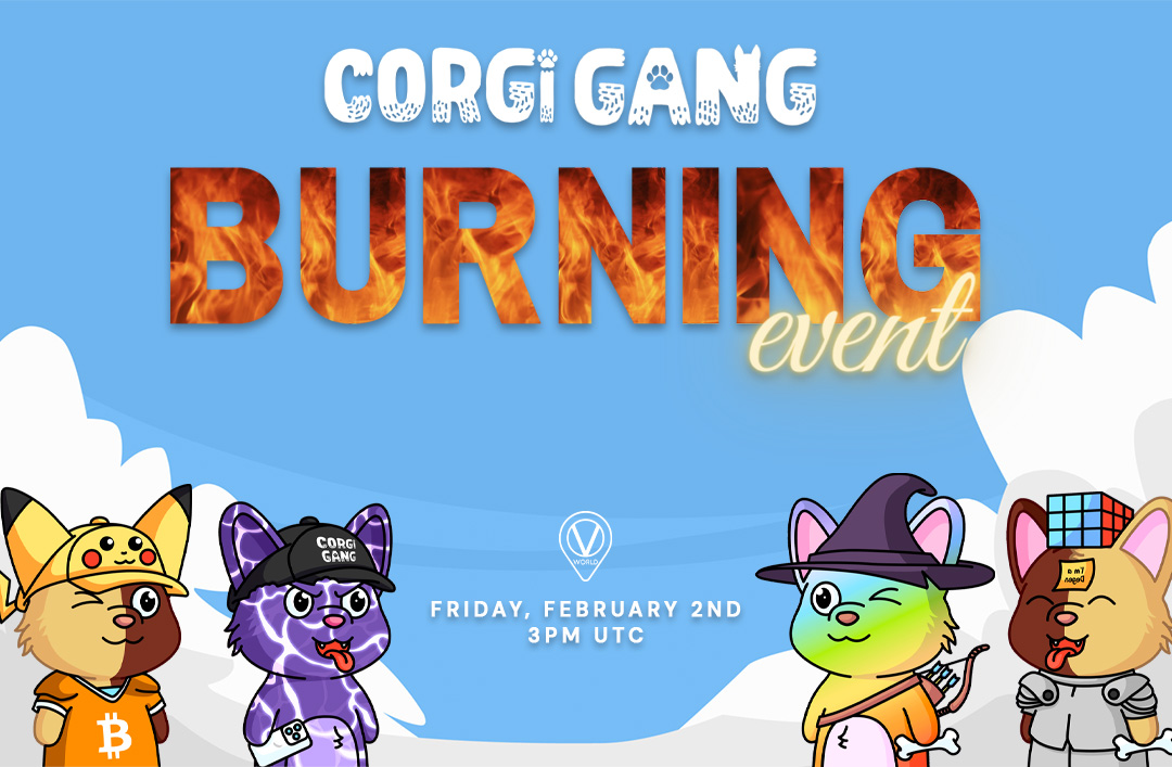 Corgi Gang Burn